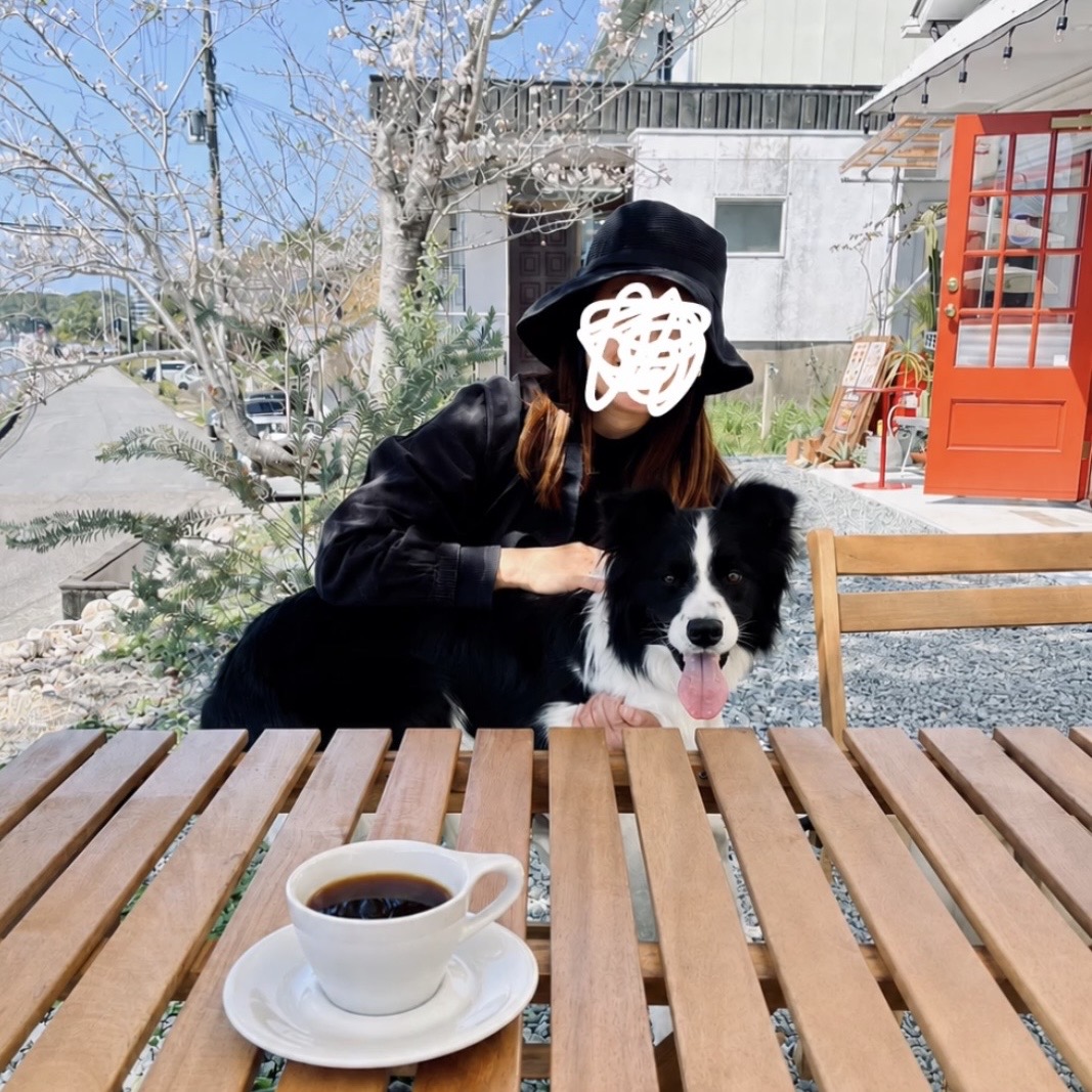 きっこ